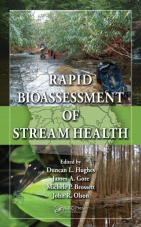 Hughes / Gore / Brossett |  Rapid Bioassessment of Stream Health | Buch |  Sack Fachmedien