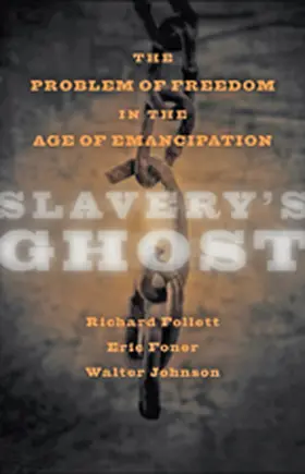 Johnson / Foner / Follett |  Slavery's Ghost | Buch |  Sack Fachmedien