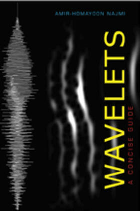 Najmi |  Wavelets | Buch |  Sack Fachmedien