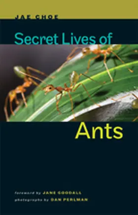 Choe |  Secret Lives of Ants | eBook | Sack Fachmedien