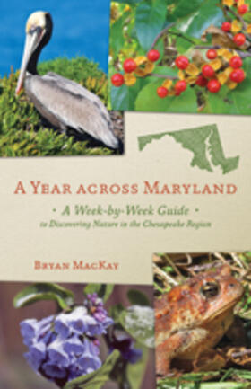 MacKay |  A Year Across Maryland | Buch |  Sack Fachmedien