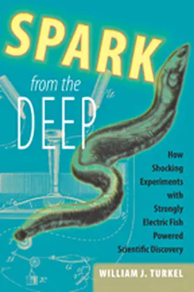 Turkel |  Spark from the Deep | eBook | Sack Fachmedien