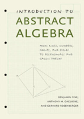 Fine / Gaglione / Rosenberger |  Introduction to Abstract Algebra | Buch |  Sack Fachmedien