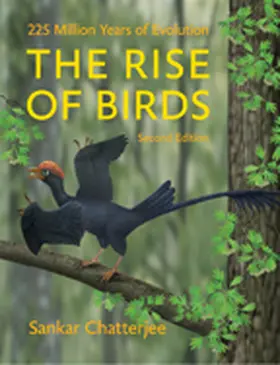 Chatterjee |  The Rise of Birds | Buch |  Sack Fachmedien