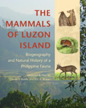 Heaney / Balete / Rickart |  The Mammals of Luzon Island | Buch |  Sack Fachmedien