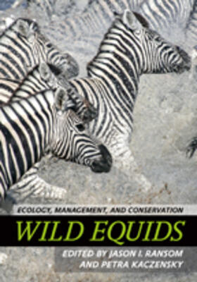 Ransom / Kaczensky |  Wild Equids | Buch |  Sack Fachmedien