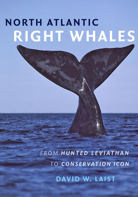 Laist |  North Atlantic Right Whales | Buch |  Sack Fachmedien