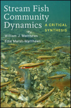 Matthews / Marsh-Matthews |  Stream Fish Community Dynamics | Buch |  Sack Fachmedien