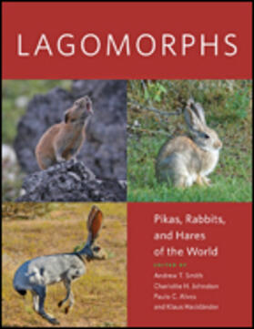 Smith / Johnston / Alves |  Lagomorphs | Buch |  Sack Fachmedien
