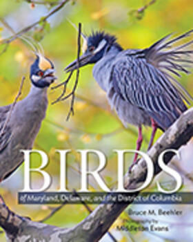Beehler |  Birds of Maryland, Delaware, and the District of Columbia | Buch |  Sack Fachmedien