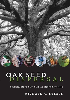 Steele |  Oak Seed Dispersal | eBook | Sack Fachmedien