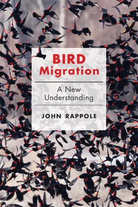 Rappole |  Bird Migration | eBook | Sack Fachmedien