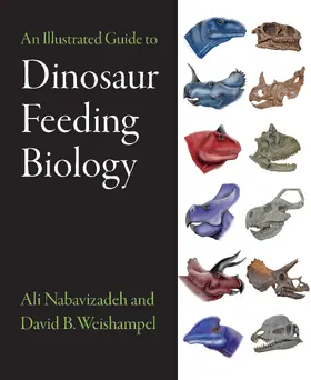 Nabavizadeh / Weishampel |  An Illustrated Guide to Dinosaur Feeding Biology | eBook | Sack Fachmedien