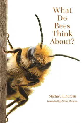 Lihoreau |  What Do Bees Think About? | eBook | Sack Fachmedien