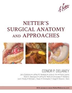 Delaney |  Netter's Surgical Anatomy and Approaches | Buch |  Sack Fachmedien