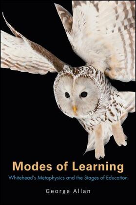 Allan |  Modes of Learning | eBook | Sack Fachmedien