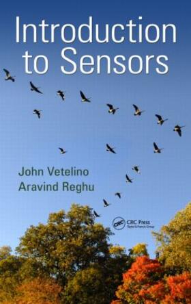 Vetelino / Reghu |  Introduction to Sensors | Buch |  Sack Fachmedien