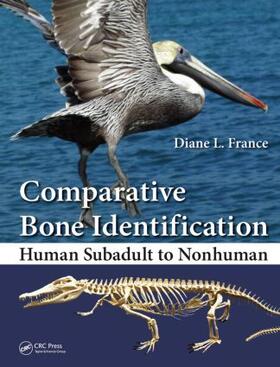 France |  Comparative Bone Identification | Buch |  Sack Fachmedien