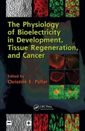 Pullar |  The Physiology of Bioelectricity in Development, Tissue Regeneration and Cancer | Buch |  Sack Fachmedien