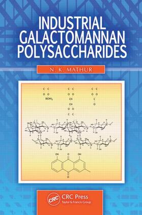 Mathur |  Industrial Galactomannan Polysaccharides | Buch |  Sack Fachmedien