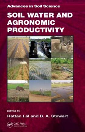 Lal / Stewart |  Soil Water and Agronomic Productivity | Buch |  Sack Fachmedien