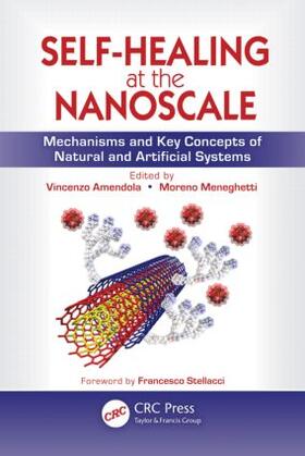 Amendola / Meneghetti |  Self-Healing at the Nanoscale | Buch |  Sack Fachmedien
