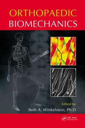 Winkelstein |  Orthopaedic Biomechanics | Buch |  Sack Fachmedien