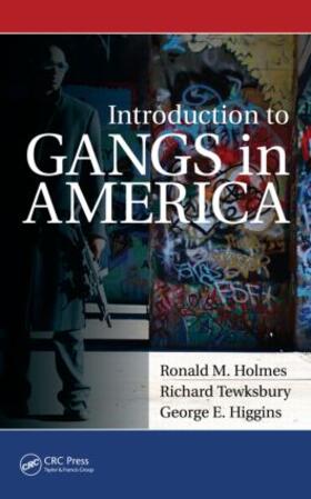 Holmes / Tewksbury / Higgins |  Introduction to Gangs in America | Buch |  Sack Fachmedien
