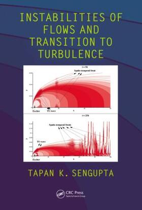 Sengupta |  Instabilities of Flows and Transition to Turbulence | Buch |  Sack Fachmedien