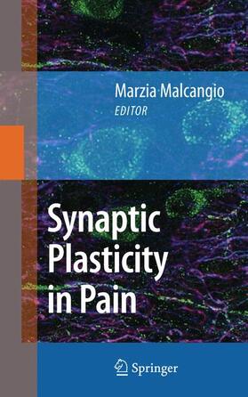 Malcangio |  Synaptic Plasticity in Pain | Buch |  Sack Fachmedien