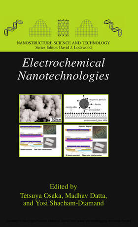 Osaka / Datta / Shacham-Diamand |  Electrochemical Nanotechnologies | eBook | Sack Fachmedien