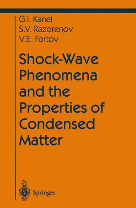 Kanel / Fortov / Razorenov |  Shock-Wave Phenomena and the Properties of Condensed Matter | Buch |  Sack Fachmedien