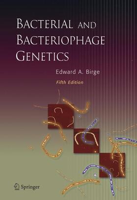 Birge |  Bacterial and Bacteriophage Genetics | Buch |  Sack Fachmedien
