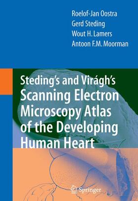 Oostra / Moorman / Steding |  Steding's and Virágh's Scanning Electron Microscopy Atlas of the Developing Human Heart | Buch |  Sack Fachmedien