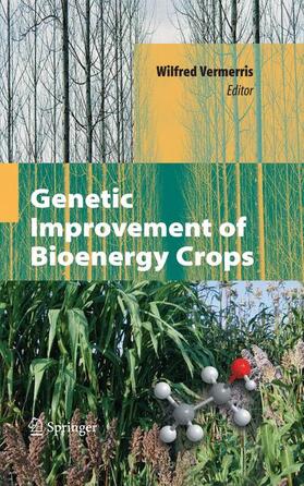 Vermerris |  Genetic Improvement of Bioenergy Crops | Buch |  Sack Fachmedien