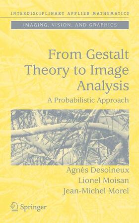 Desolneux / Morel / Moisan |  From Gestalt Theory to Image Analysis | Buch |  Sack Fachmedien