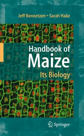 Hake / Bennetzen |  Handbook of Maize: Its Biology | Buch |  Sack Fachmedien