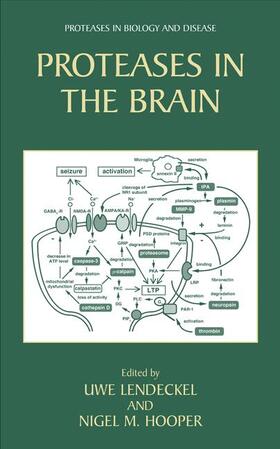 Hooper / Lendeckel |  Proteases in the Brain | Buch |  Sack Fachmedien