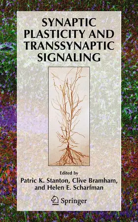 Stanton / Scharfman / Bramham |  Synaptic Plasticity and Transsynaptic Signaling | Buch |  Sack Fachmedien