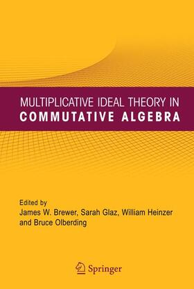 Brewer / Olberding / Glaz |  Multiplicative Ideal Theory in Commutative Algebra | Buch |  Sack Fachmedien