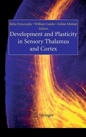 Erzurumlu / Molnar / Guido |  Development and Plasticity in Sensory Thalamus and Cortex | Buch |  Sack Fachmedien