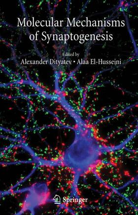 El-Husseini / Dityatev |  Molecular Mechanisms of Synaptogenesis | Buch |  Sack Fachmedien