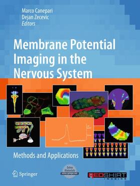 Zecevic / Canepari |  Membrane Potential Imaging in the Nervous System | Buch |  Sack Fachmedien