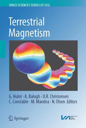 Hulot / Balogh / Olsen |  Terrestrial Magnetism | Buch |  Sack Fachmedien