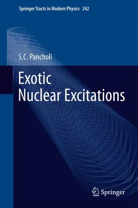 Pancholi |  Exotic Nuclear Excitations | Buch |  Sack Fachmedien