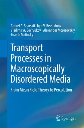 Snarskii / Bezsudnov / Malinsky |  Transport Processes in Macroscopically Disordered Media | Buch |  Sack Fachmedien