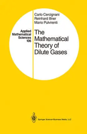 Cercignani / Illner / Pulvirenti |  The Mathematical Theory of Dilute Gases | eBook | Sack Fachmedien