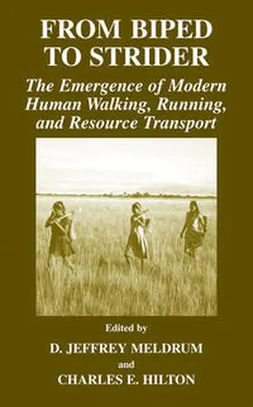 Meldrum / Hilton | From Biped to Strider | E-Book | sack.de