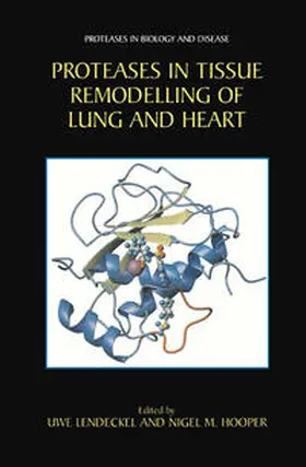 Lendeckel / Hooper |  Proteases in Tissue Remodelling of Lung and Heart | eBook | Sack Fachmedien