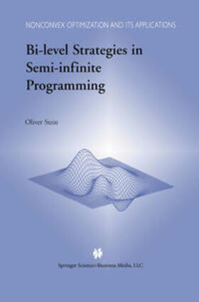 Stein |  Bi-Level Strategies in Semi-Infinite Programming | eBook | Sack Fachmedien